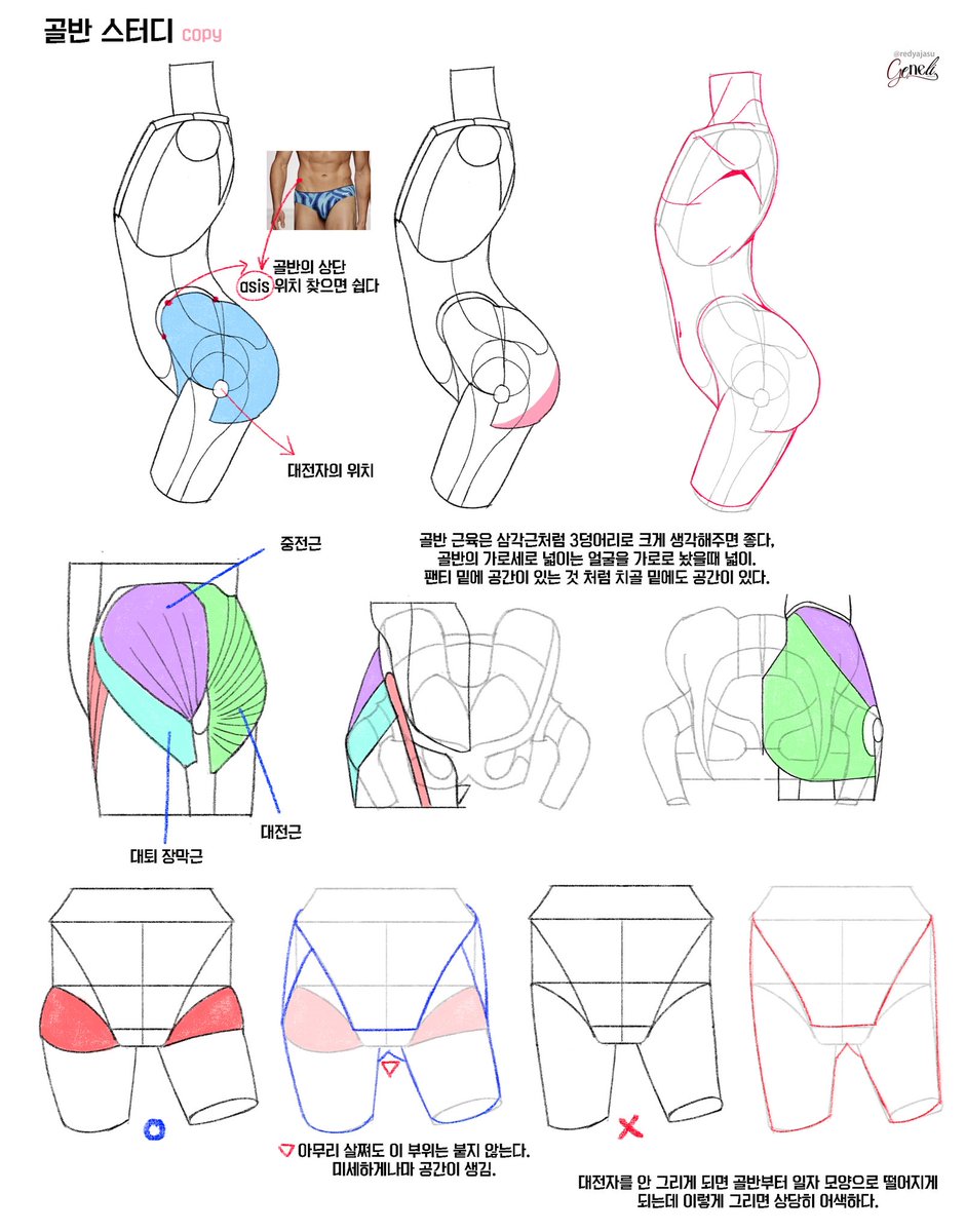 redyajasu's tweet image. 골반 스터디 
-골반근육은 삼각근처럼 3덩어리로 크기 생각해주면 좋음 
-골반의 가로세로 넓이는 얼굴을 가로로 놨을때 너비
-팬티 밑에 공간이 있는것 처럼 치골 밑에도 공간이 있다 
-허벅지사이는 아무리 살쪄도 붙지 않음 
-대전자를 안그리면 골반부터 일자로 떨어져서 어색하다