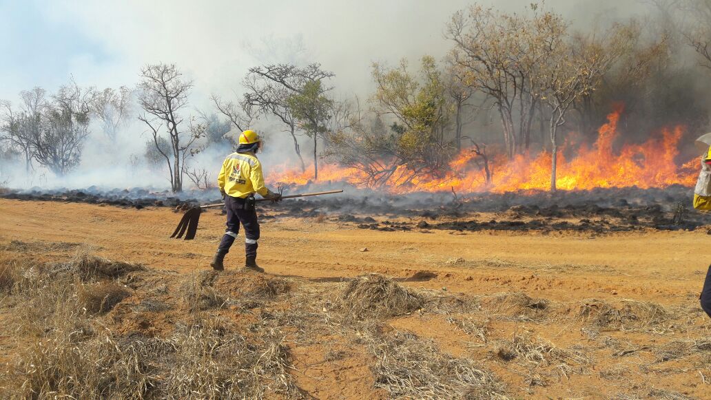 WOF-Kishugu JV tweet media