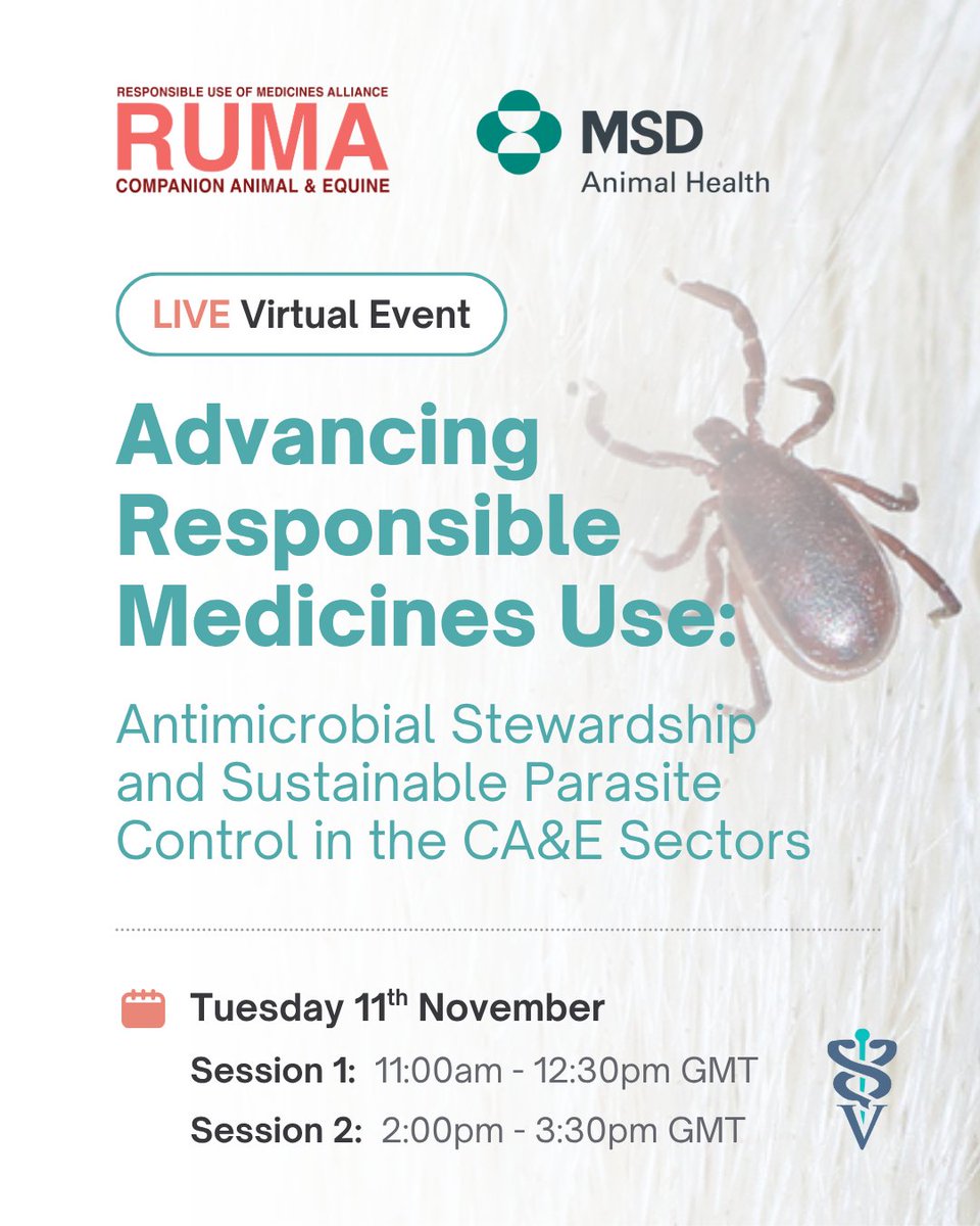 RUMA CA&E tweet media