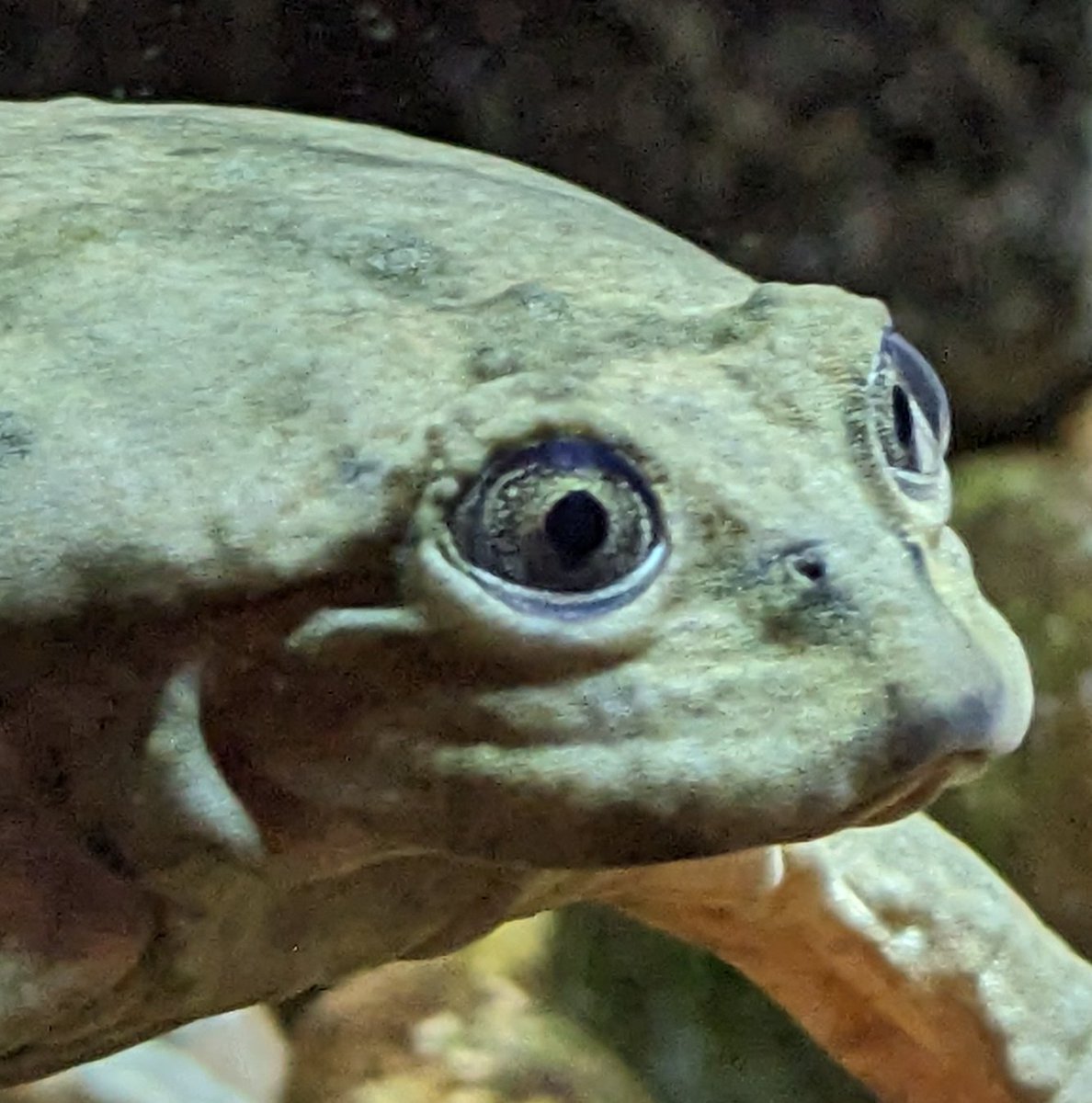 CraftyMasterman 🇨🇦 tweet media