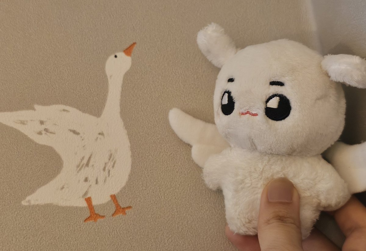 오리기강 잡는 툥야씨