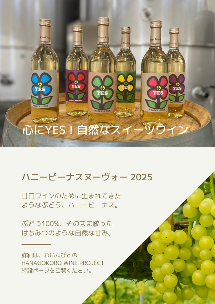わいんびと🍷日本ワイン専門のオンライン市場 on X
