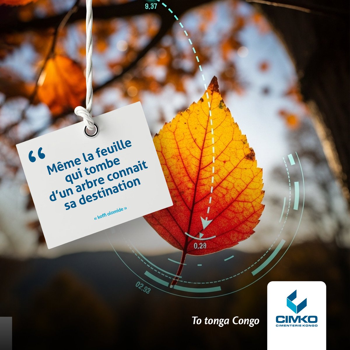 Dans chaque projet de construction, rien n'est laissé au hasard .
Tout reposes sur des fondations solides, des choix réfléchis et des matériaux de confiance
#construction #cimko #trajectoire #RDC #innovation