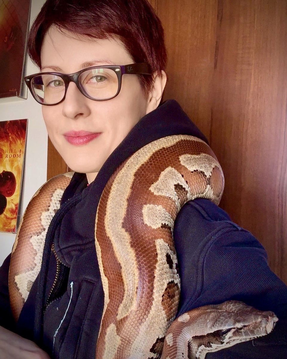 PhenrirMailoki's tweet image. Riprendiamo domani con le dirette!

Domani ci sarà anche un aggiornamento su ko-fi 

Foto del mio bambino di sei chili, che sembra sempre arrabbiatissimo ma in realtà è solo una salsiccia introversa e molto morbida.

#pythonbrongersmai #snake #snakelover #bloodpython #kofi…