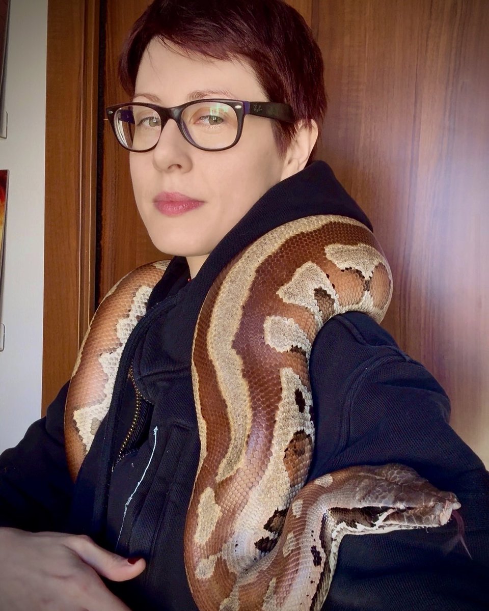 PhenrirMailoki's tweet image. Riprendiamo domani con le dirette!

Domani ci sarà anche un aggiornamento su ko-fi 

Foto del mio bambino di sei chili, che sembra sempre arrabbiatissimo ma in realtà è solo una salsiccia introversa e molto morbida.

#pythonbrongersmai #snake #snakelover #bloodpython #kofi…