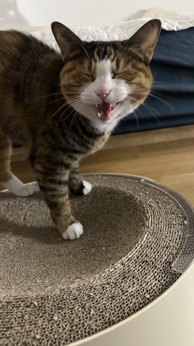 v2soo2's tweet image. 