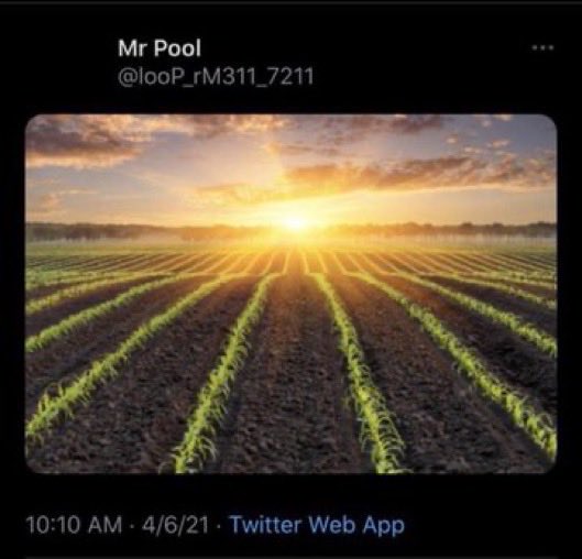 WelshieOutdoors's tweet image. What a nice day 🔆🚀

#xrp
#XRPArmy