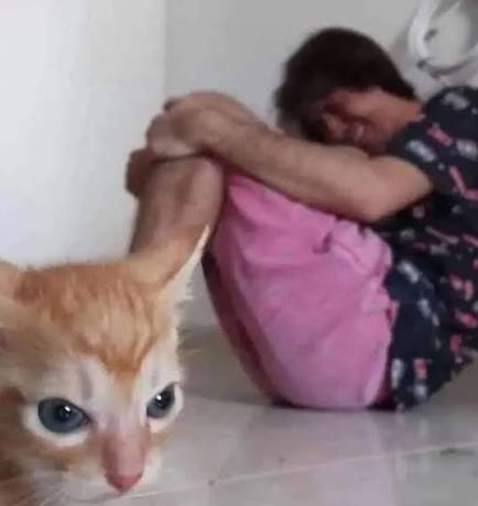 Un poco me alegra ir a trabajar porque mi gato está insoportable