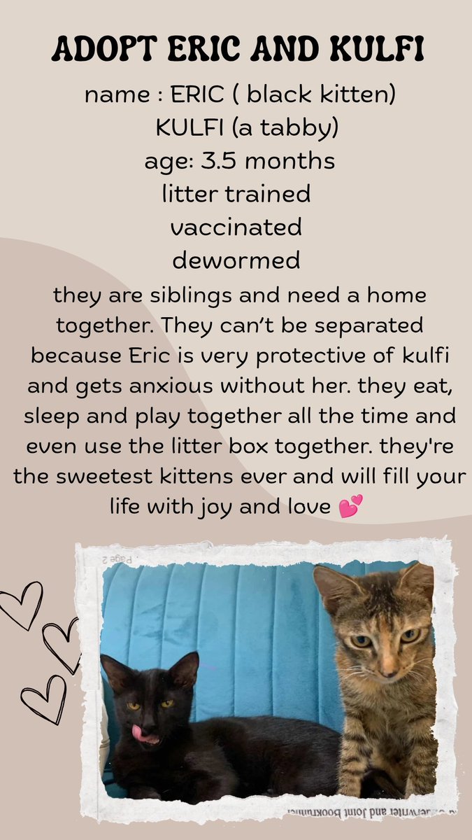 teteluvzs's tweet photo. โผ๏ธ URGENT ADOPTION APPEALโผ๏ธ
two of the cutest siblings you have ever seen need a forever loving home as soon as possible ๐คโผ๏ธ
#adoptdontshop #Delhi #Noida #UP #Cat #Rajasthan #CatsofIndia
adoption open pan india
please contact: 9871676736 or DM on insta @/straydogsandcat https://t.co/QOFa25eYmi
