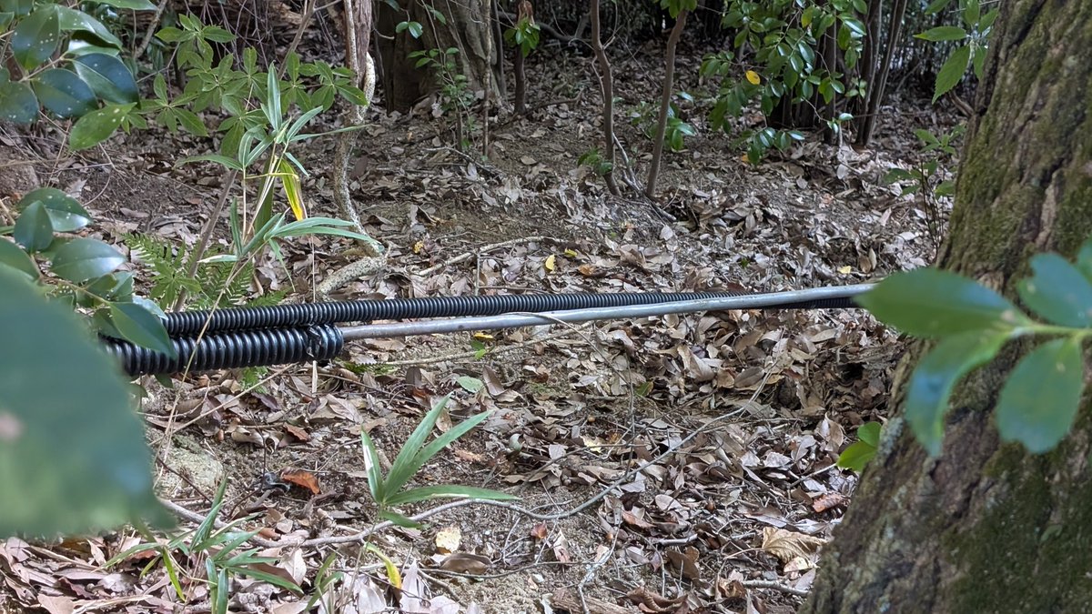 道をふさぐ倒木が気になり、斜面を回り込んで本道側から確認。二股のクヌギが腐朽し、斜面の両側へ倒れていました。竹林の一部も巻き込み滑落。さらに、幹の下に見えたラインを辿ると、電柱から分岐した鋼管柱までつながっていて……断線してる？
これ以上近づくのはやめて通報しました。