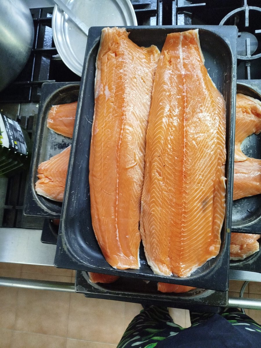 🍽️Un plato de salmón preparado por un cátering privado licitado por la Consejería

🍽️Una bandeja con el salmón que van a comer los alumnos de un colegio con un comedor in situ con cocineras contratadas directamente por la Junta.

Valoren ustedes las diferencias.