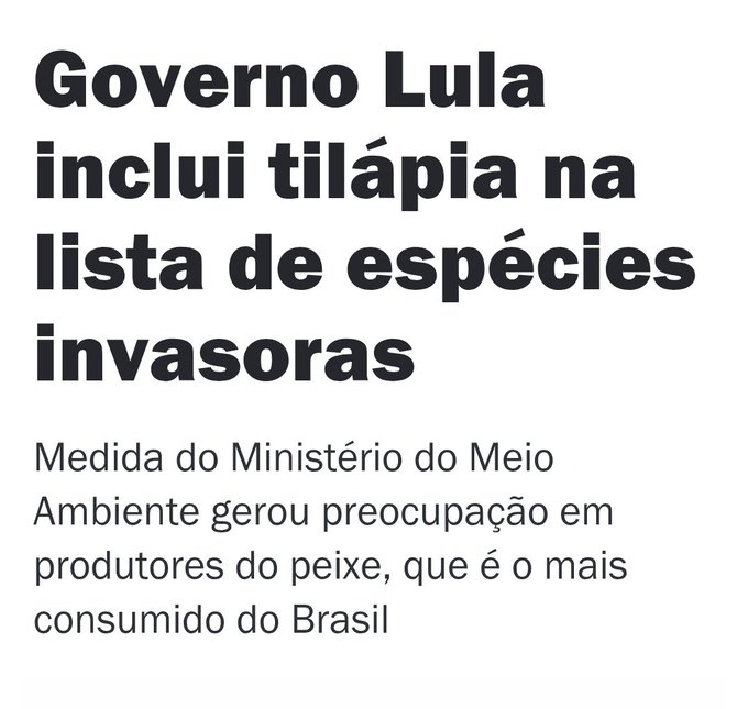 Meme image with bold black text on white background stating Governo Lula inclui tilápia na lista de espécies invasoras, followed by Medida do Ministério do Meio Ambiente gerou preocupação em estruturas do peixe, que é o mais consumido do Brasil, with garbled repeated letters in words like LulaLula and invasorasorasas.