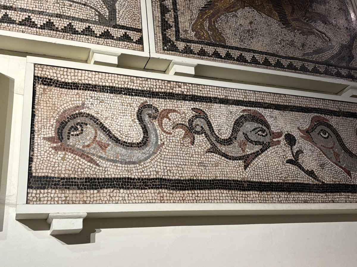 GrandTouristUK's tweet image. Mosaic Monday at the British Museum, London all 4th C AD from Halicarnassus - Bodrum, Turkiye today. A little concerning re: extent of looting from an important Ancient Greek site on the shores of Eastern Med to the shores of Bloomsbury #mosaicmonday #britishmuseum #halicarnassus