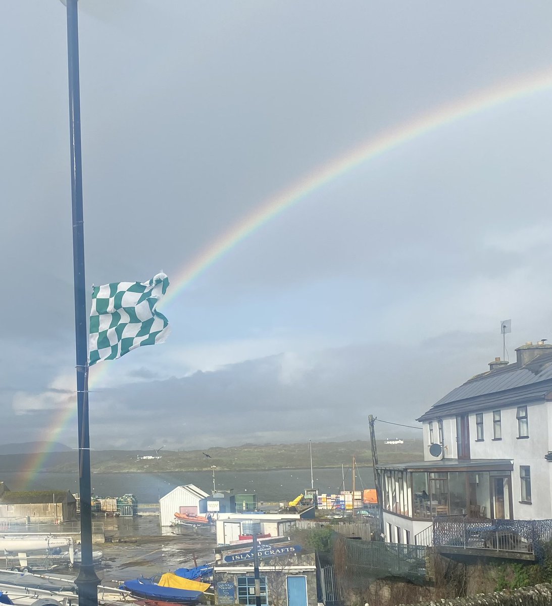 Baltimore Sea Safari tweet media