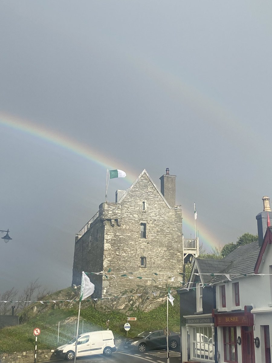 Baltimore Sea Safari tweet media