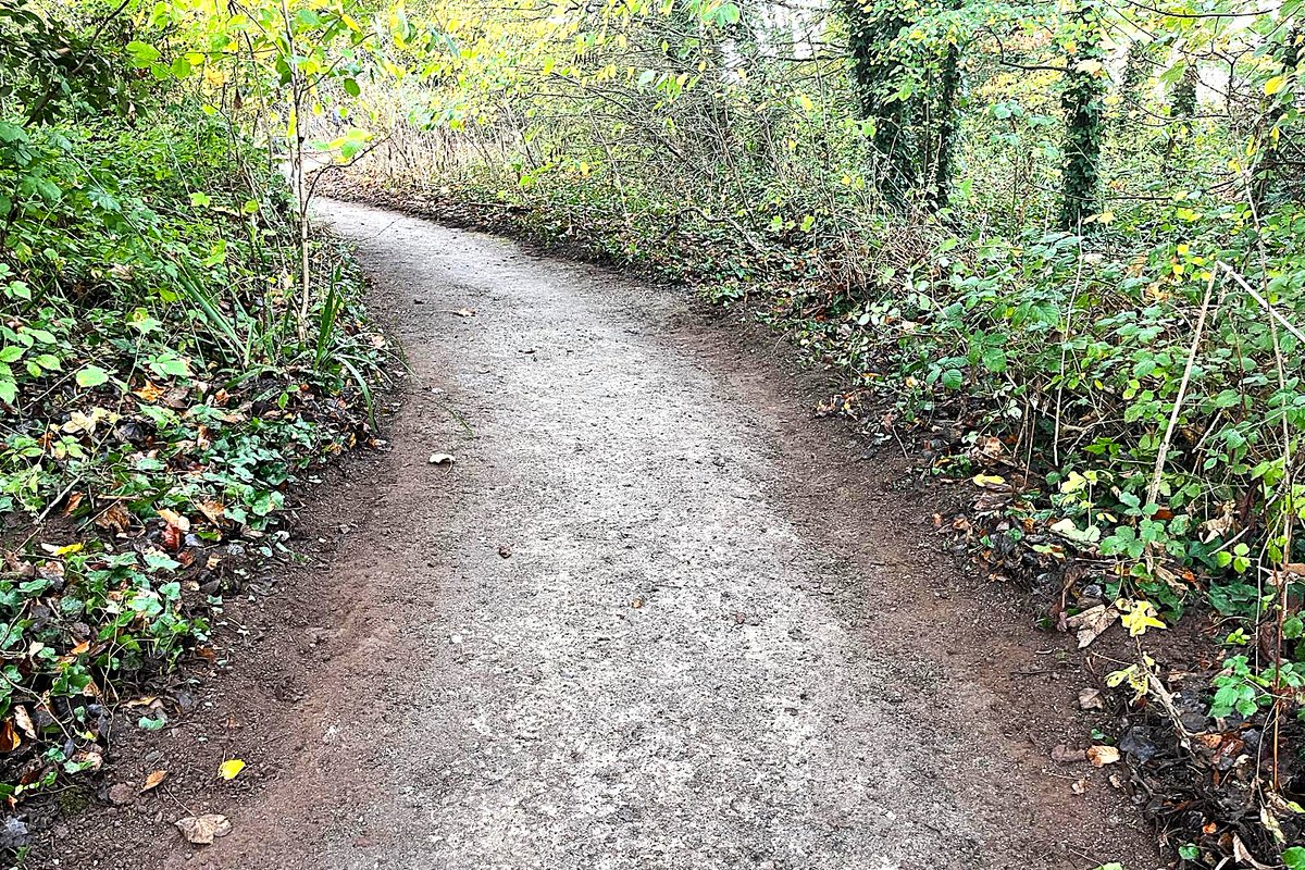 Our volunteers in last week's work party did a brilliant job. (Photos by Simon Briscoe)