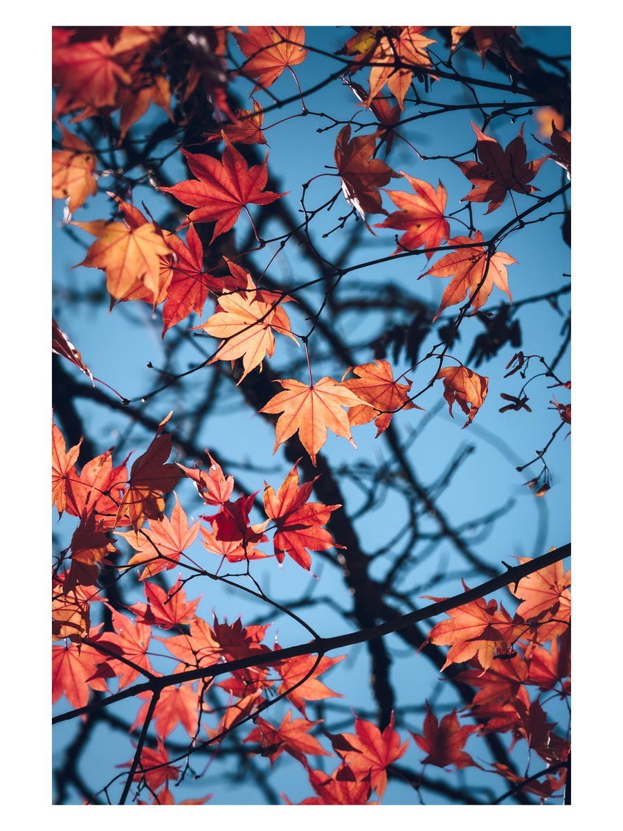 Yamato Takahide 大和貴英 (@takaphotoslog) on Twitter photo 