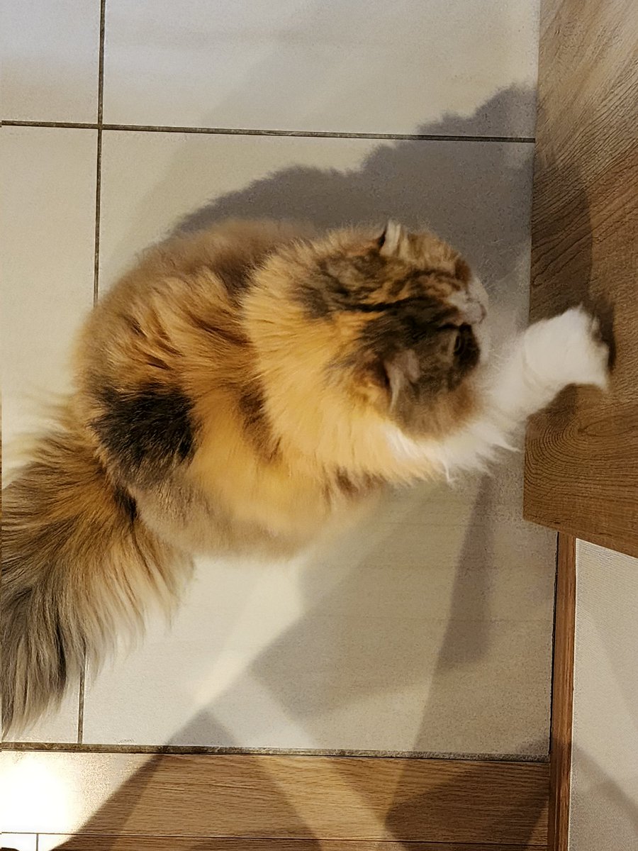 moto (@mocchan24) / Posts / X