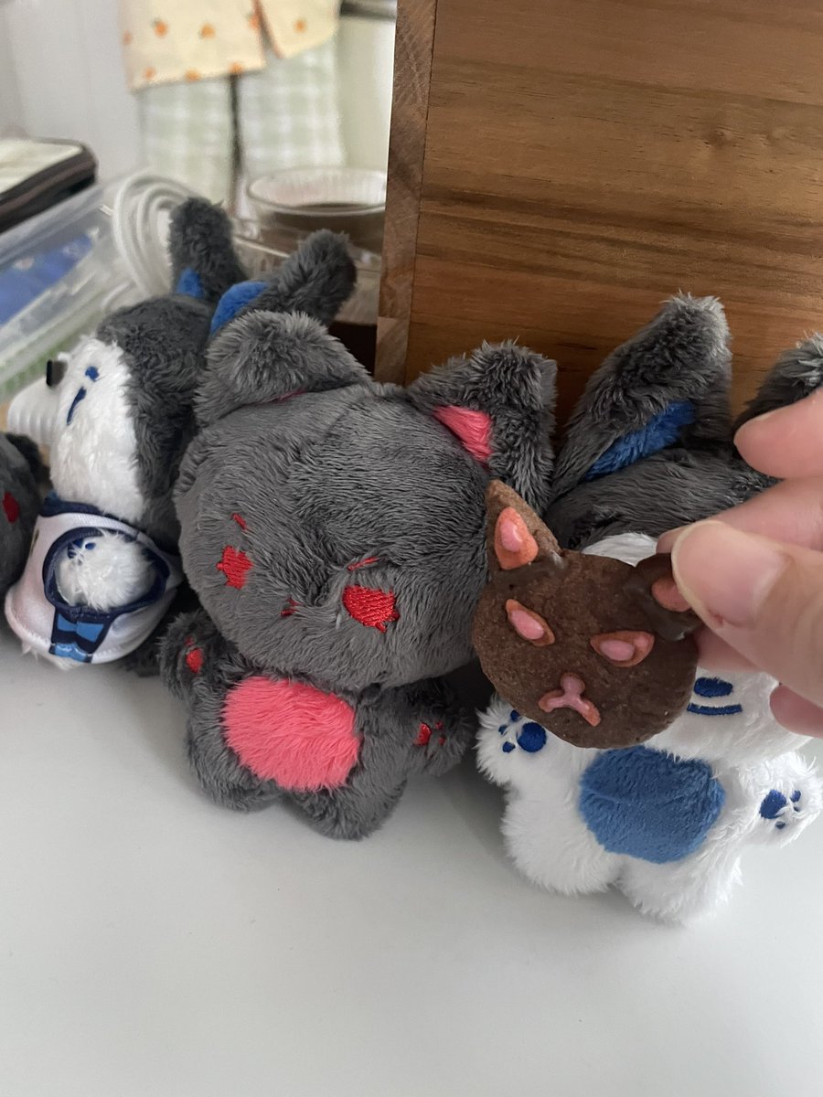 쩌지깅 ◠ ̫◠ tweet media