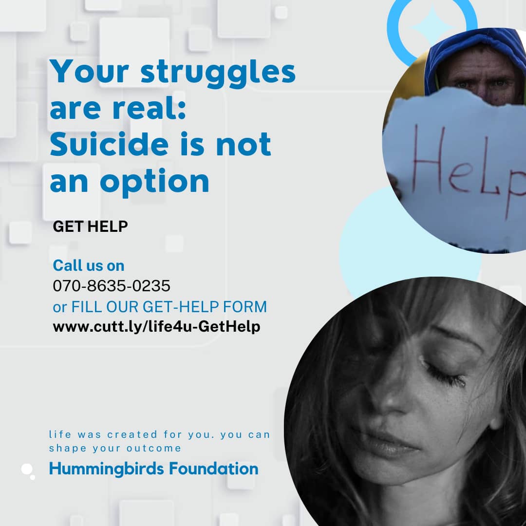 Hummingbirds_ng tweet media