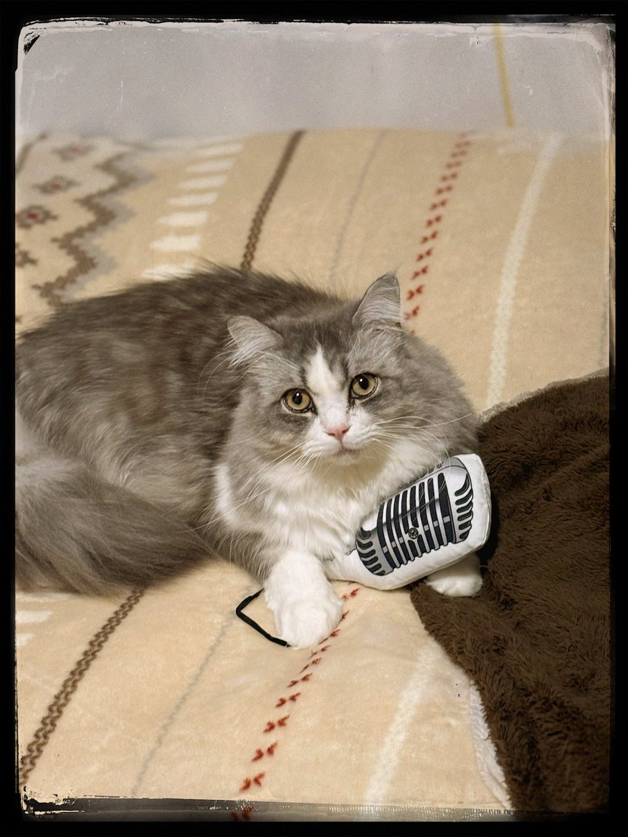 俺が歌歌いの殿様です=ↀωↀ=