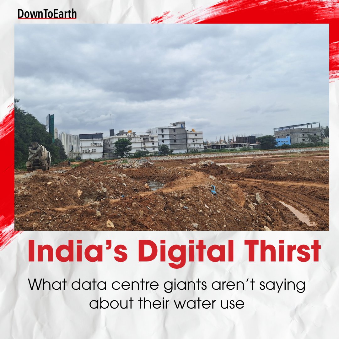 Down To Earth tweet media