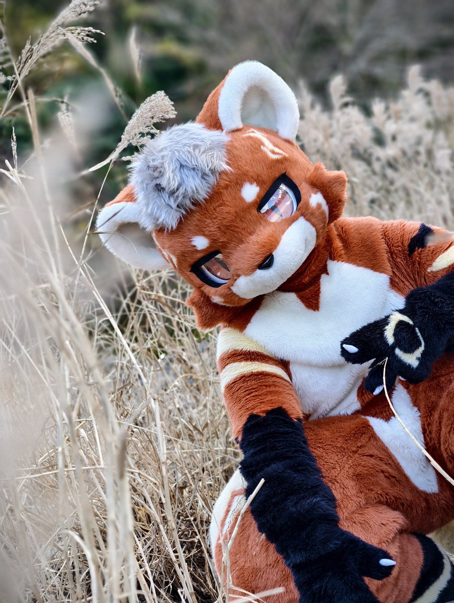 你想要的太多啦，所以你才会有这么多烦恼。轻装上阵才能走得更远