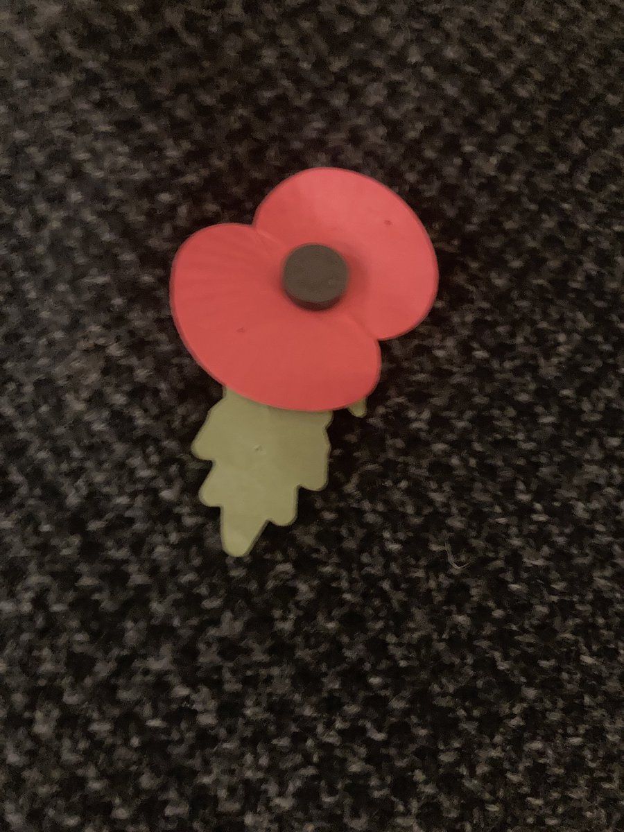 tompalmerauthor's tweet photo. A week of Remembrance assemblies in Watford, Bedford, St Albans, Epsom and Bolton. And one free online event with @mrdillypresents tomorrow. Details of that and other free resources for schools at. 
#LestWeForget
https://t.co/qJl5CBSxby
Thank you. https://t.co/fzJDjzygoe