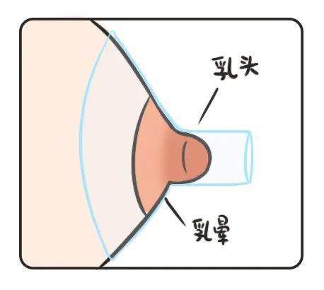 张法师命理日记（开课） tweet media