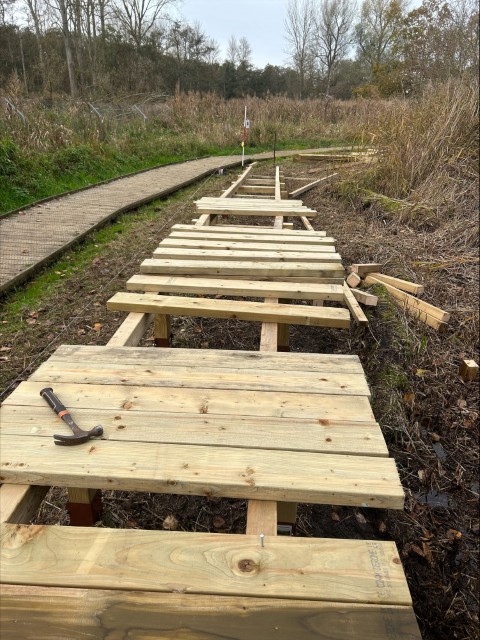 🚧 Sculthorpe Moor Update: From Nov 17-21, part of the Golden Path is closed for boardwalk construction. Open 8am-5pm! 💚 #SculthorpeMoor #NorfolkWildlifeTrust #NatureReserve #BoardwalkUpgrade #WildlifeConservation #NorfolkNature