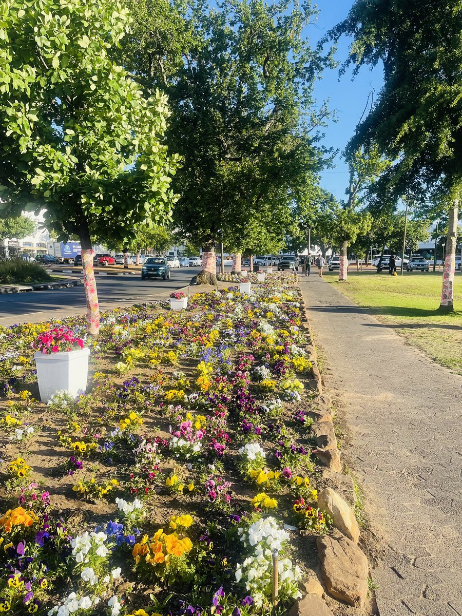 Monday Motivation 🌼 Take pride in what you do, where you live and where you work. When you love your surroundings, it shows - in every smile, every bloom and every corner of our beautiful town. 

#Stellenbosch #MondayMotivation