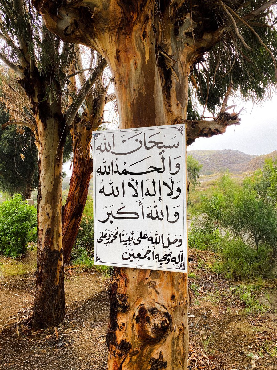 Asayl Aljbarh | أصايل الجبّره tweet media