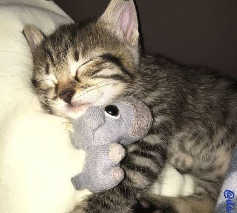 i'm a #proudprocrastinator