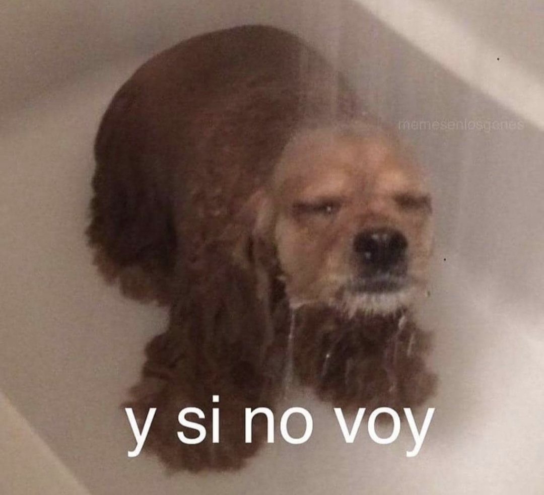 Cada mañana