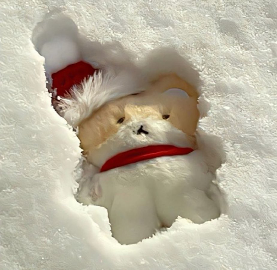 첫눈 같이 맞는 젬킷 보고싶다 🌨️⛄️
눈사람도 같이 만들어야 되고 눈 쌓인 곳에다가 믽제바보 <<이런 낙서도 해야됨 ㅜ 믽제가 잊주 뒷덜미에 눈 한 주먹 집어 넣고 추격전도 할 거 같음... 그러다 잊주가 눈 먹어보겠다고 입 아아ㅏ벌리면 믽제 빤히 보다가 벅찬 마음에 볼뽀뽀