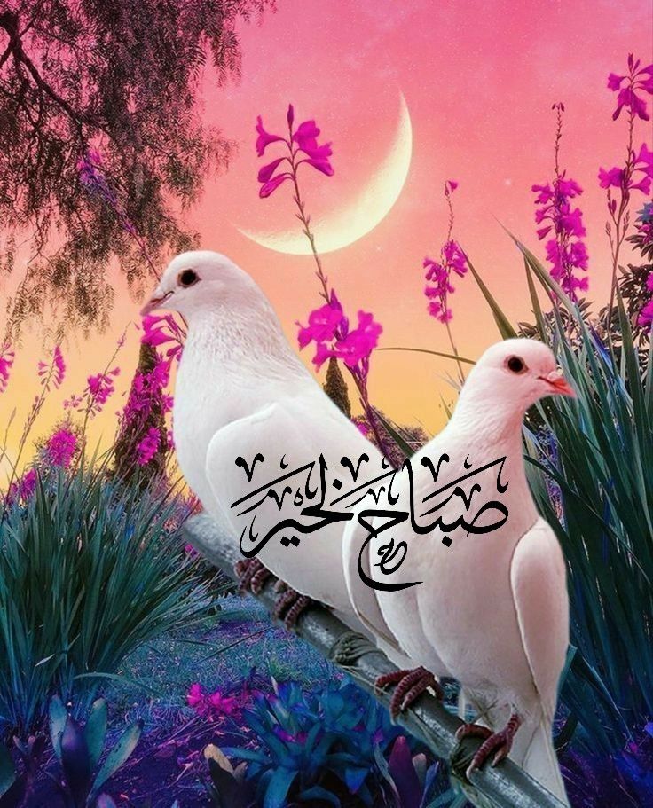 nooral5271's tweet photo. @AH_IRQA https://t.co/Elf8cav8QF