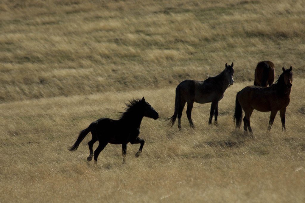 arma (@sovietsoleri) on Twitter photo 