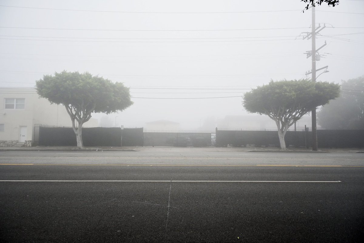 サイレントヒルみたいなロサンゼルスの町が不気味だった。