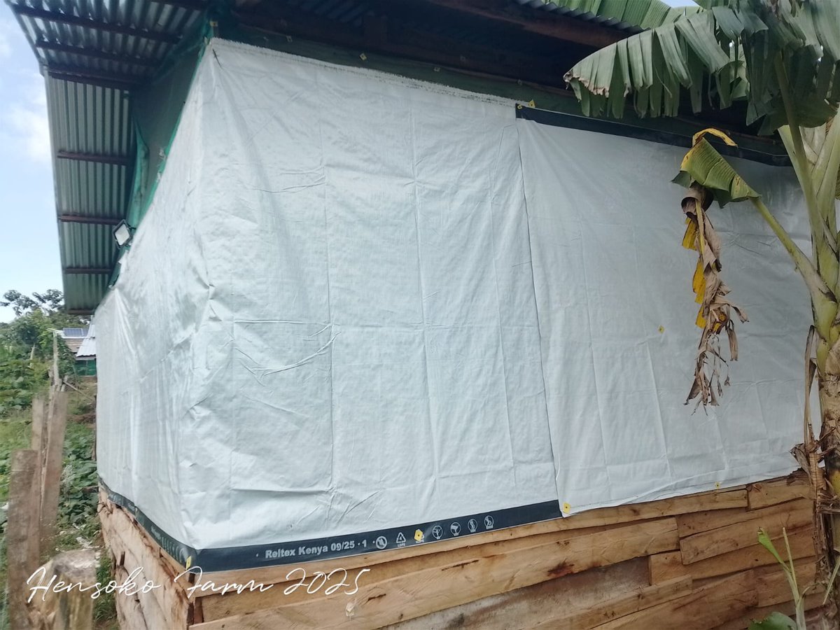 ReltexK's tweet photo. Warm. Safe. Lasting.

Our customer turned Reltex tarpaulins into a strong, weatherproof shelter for their chickens protecting them from rain, wind, and heat.
When quality meets creativity, the results speak for themselves.
That’s the Reltex way built to protect, designed to last. https://t.co/YjmXlsSNlm