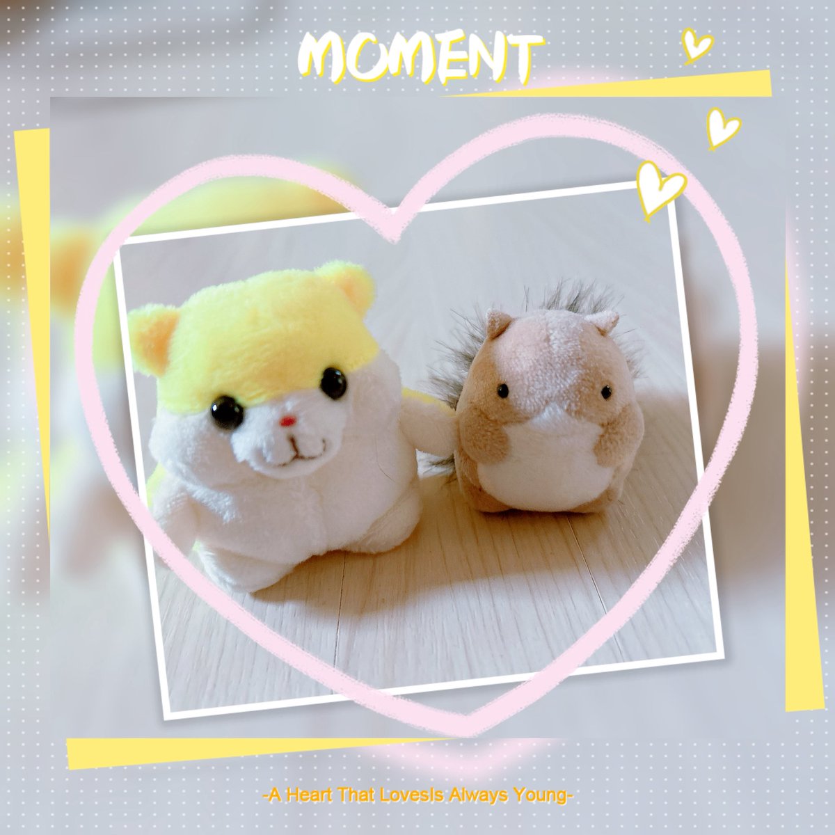 ハムちゃん ハムちゃん＋Project on X