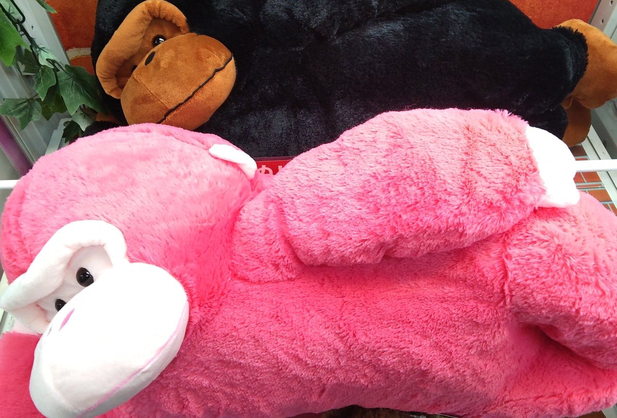 【景品入荷情報📣】
ウホウホゴリラのゴリくん ごろ寝EX ウルトラBIG
入荷しました‼️
ぜひ遊びに来てくださいね🦍🦍❤️❤️
#namcoフジグラン宇部店