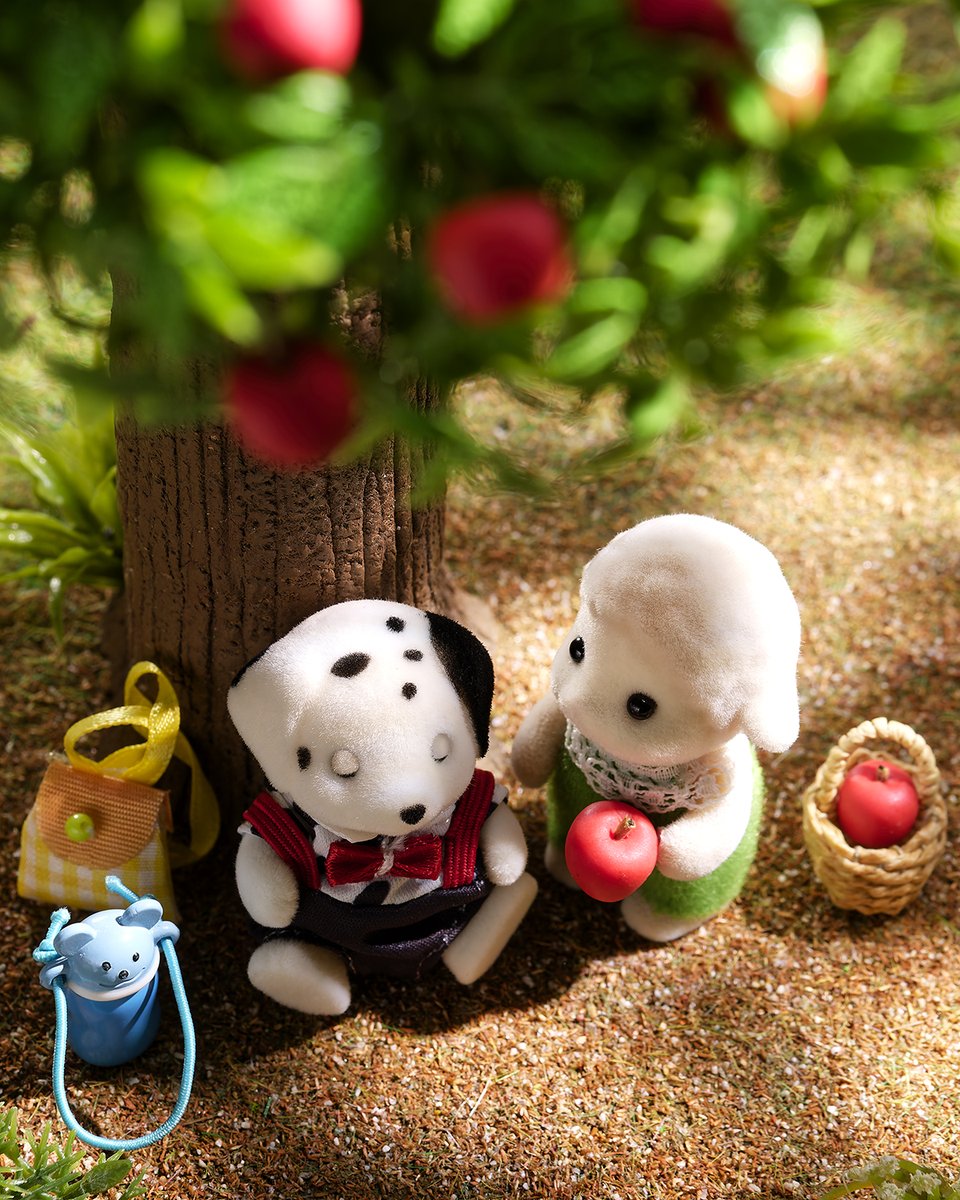 コリス🐿 (@corisu0125) / Posts / X