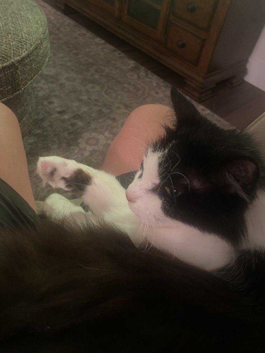 i ain't british so i didn't know what  remembrance sunday was but i'm using it as an excuse to post u 💕 remembering and thinking of you always ❤️ 🥹 miss you lots my friend