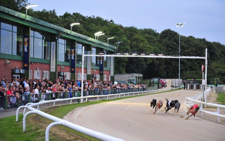 🏆 Greyhound Tipping Competition 🏆

PGR Eclipse at Nottingham

Ante-Post selection to be made for the PGR Eclipse

Includes all races from the PGR Eclipse, supporting opens &amp; all races on final night. 

Points based scoring system.  

£20 entry with 20% of all entry fees going