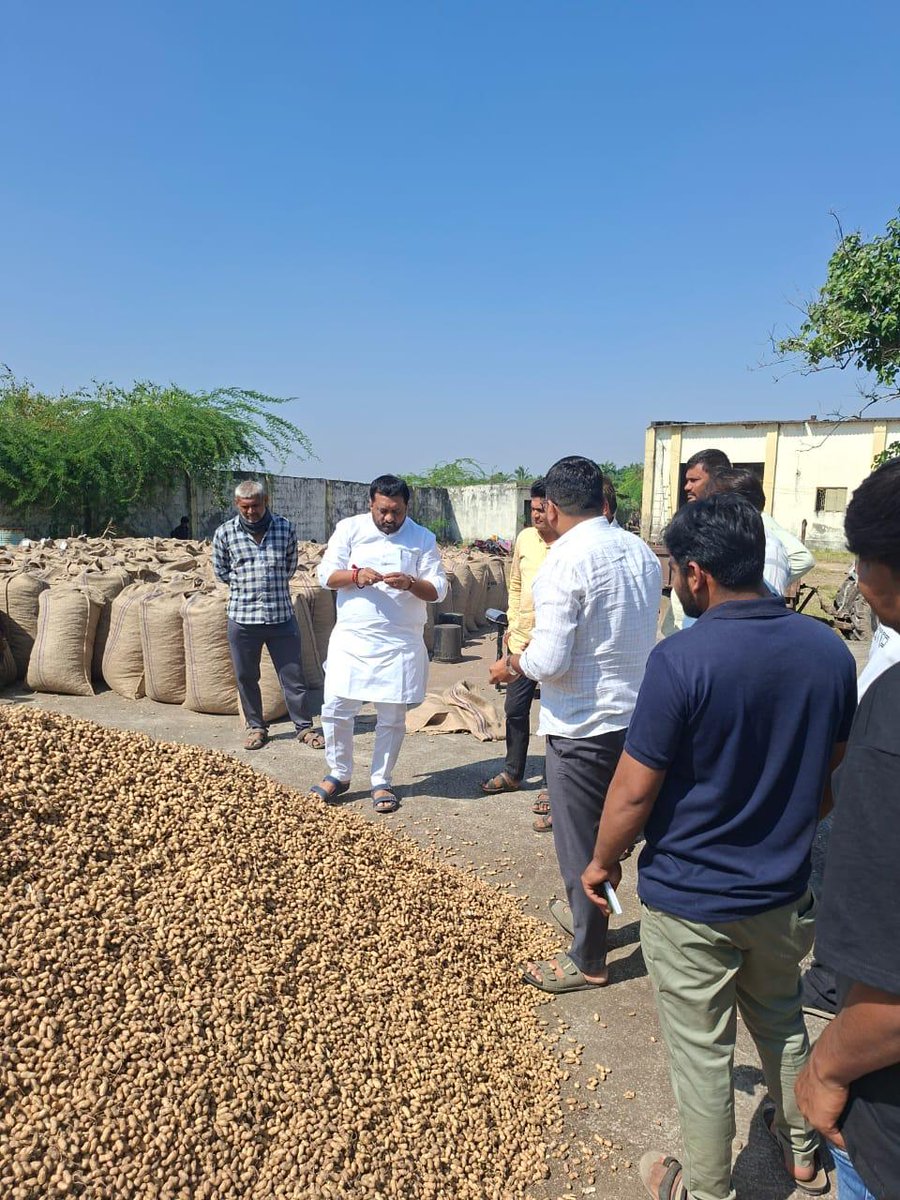 Kiritbhai_Patel's tweet image. 📍જૂનાગઢ ( પાદરિયા)
આજે જૂનાગઢ તાલુકામાં મગફળીના ટેકાના ભાવની ખરીદીનો શુભારંભ કરવામાં આવ્યો. આ અવસરે ખરીદ કેન્દ્ર ની  મુલાકાત લઈને ખરીદી પ્રક્રિયાની માહિતી મેળવી તથા ખેડૂતભાઈઓ સાથે સીધો સંવાદ કર્યો.
ખેડૂત સમાજના હિતને પ્રથમ પ્રાધાન્ય આપતી સરકાર દ્વારા ખેડૂતોને યોગ્ય ભાવ મળે તે…