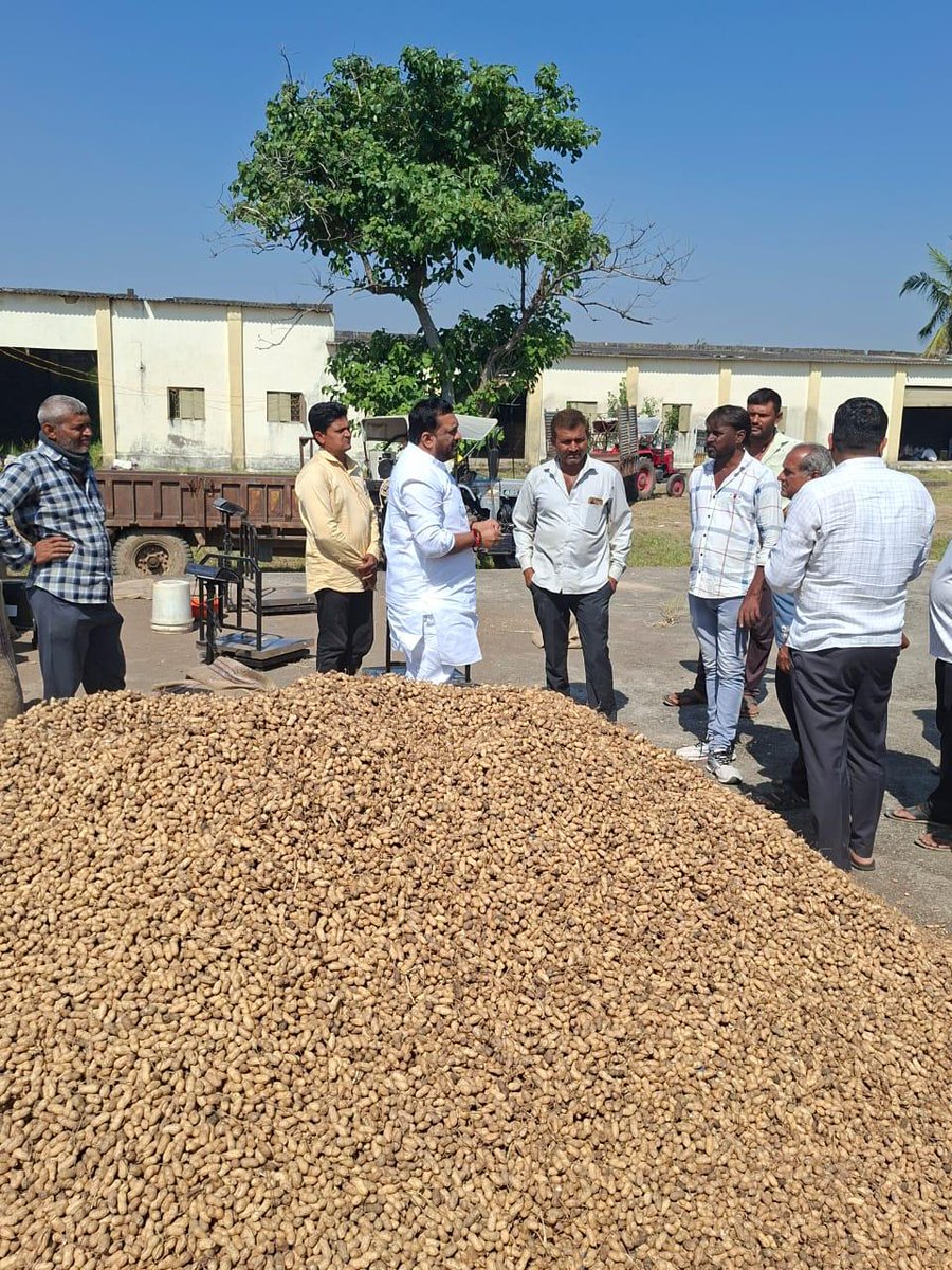 Kiritbhai_Patel's tweet image. 📍જૂનાગઢ ( પાદરિયા)
આજે જૂનાગઢ તાલુકામાં મગફળીના ટેકાના ભાવની ખરીદીનો શુભારંભ કરવામાં આવ્યો. આ અવસરે ખરીદ કેન્દ્ર ની  મુલાકાત લઈને ખરીદી પ્રક્રિયાની માહિતી મેળવી તથા ખેડૂતભાઈઓ સાથે સીધો સંવાદ કર્યો.
ખેડૂત સમાજના હિતને પ્રથમ પ્રાધાન્ય આપતી સરકાર દ્વારા ખેડૂતોને યોગ્ય ભાવ મળે તે…