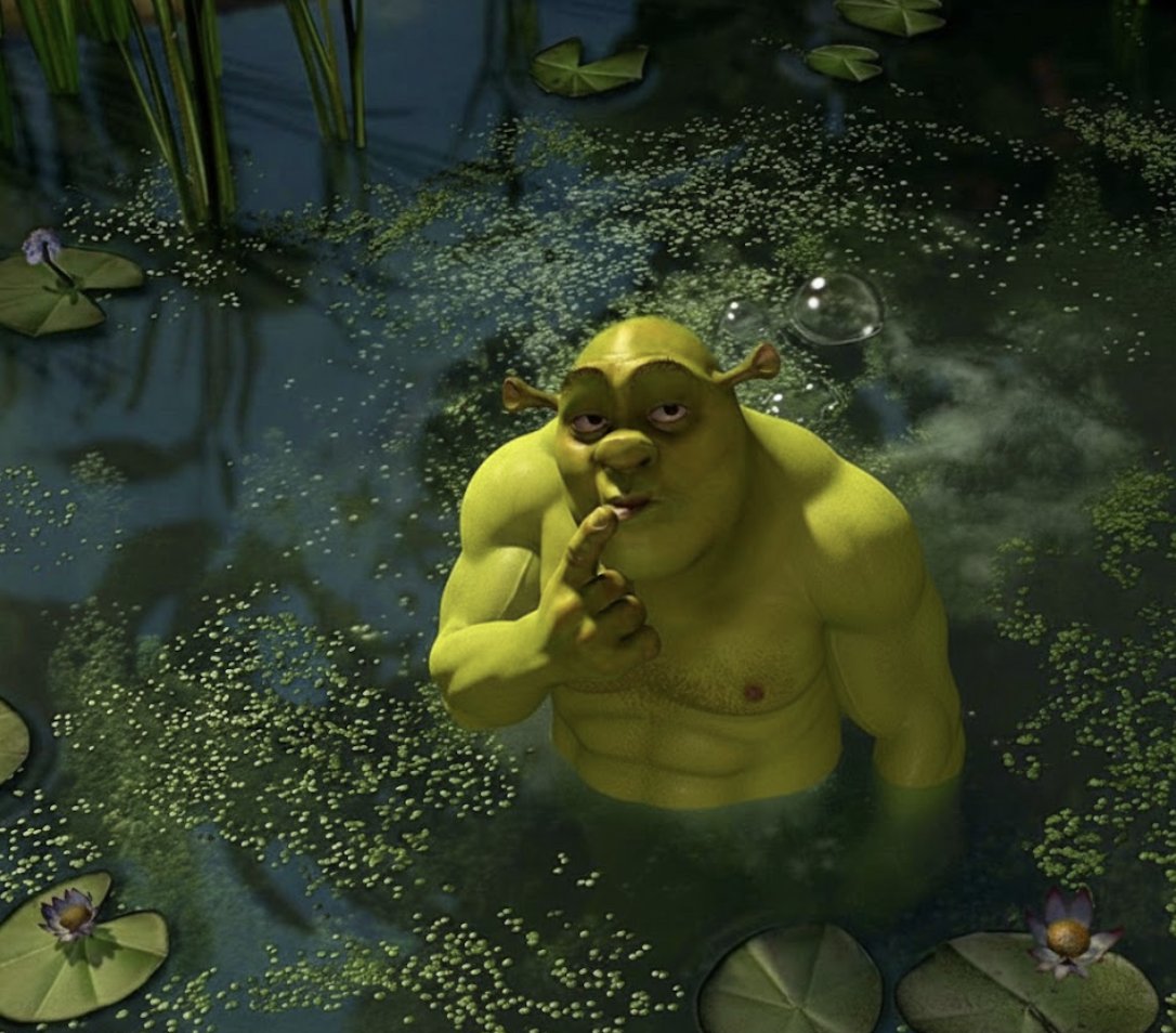 sjez's tweet photo. The pond isn’t dirty

It’s been blessed by the $shrad presence. https://t.co/hVSnGFnUOa