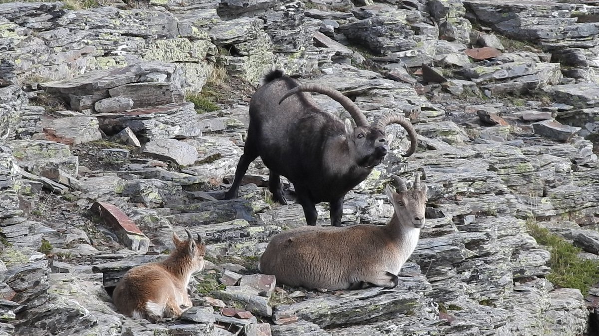 J@a.p (@jose_ap19) on Twitter photo 