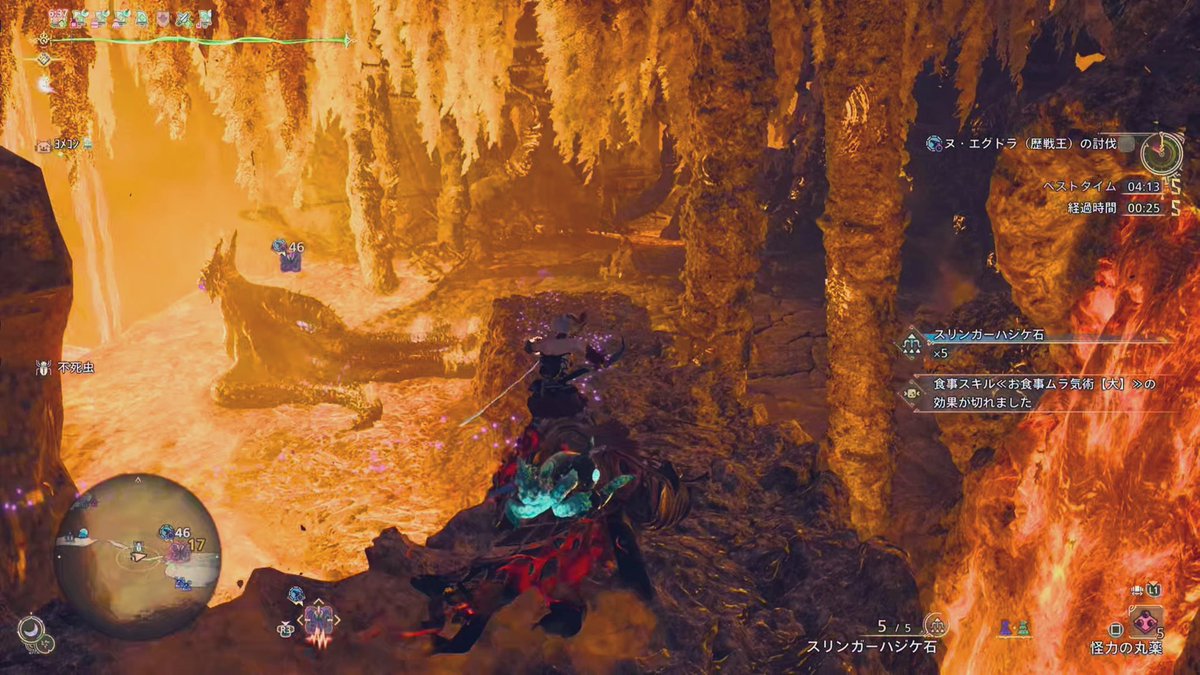 numa_MHWs's tweet image. 🐙黄昏れ個体やめてね