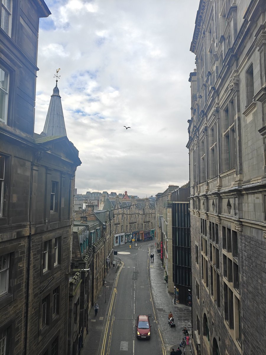 daisyscardigvn's tweet image. penso di aver trovato il mio posto nel mondo